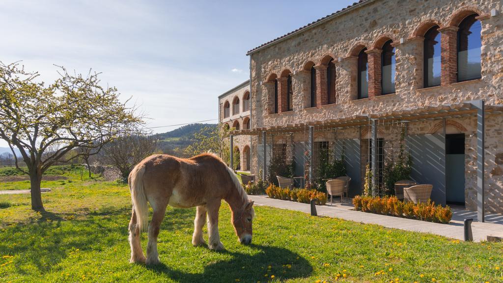 Les Planes Del Grau Hotel Sant Joan de les Abadesses Eksteriør billede